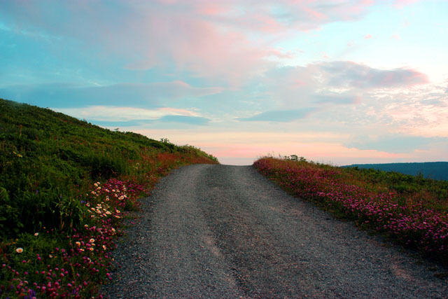 A walk to remember