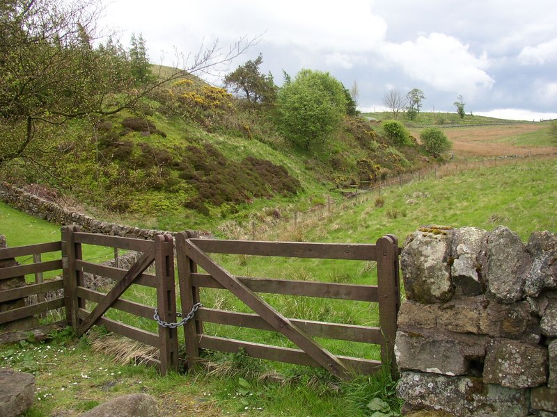 Field in Fife.jpg