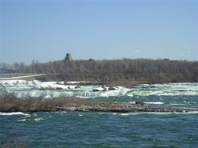 The Power of Niagara.jpg