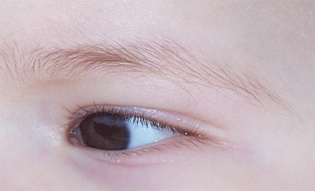 Baby's-eye.gif