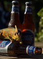 Drunken Lizard