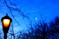 Night Light