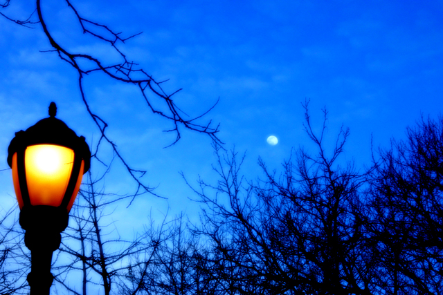 Night Light