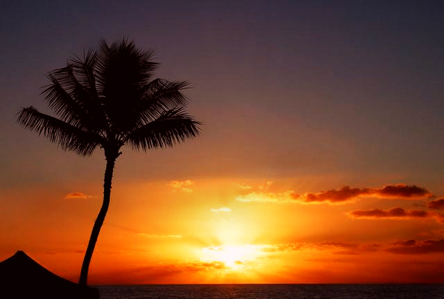 sunsetVP