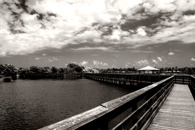 Out on the Pier
