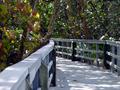 Bridge To ?