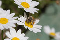 100mm only - 1.jpg