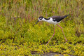 IMG_8778-2.jpg