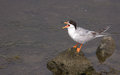 IMG_8857-2.jpg