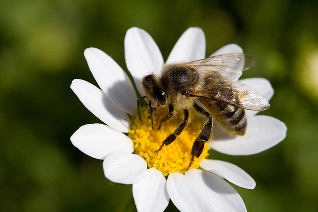 100mm only - 3.jpg