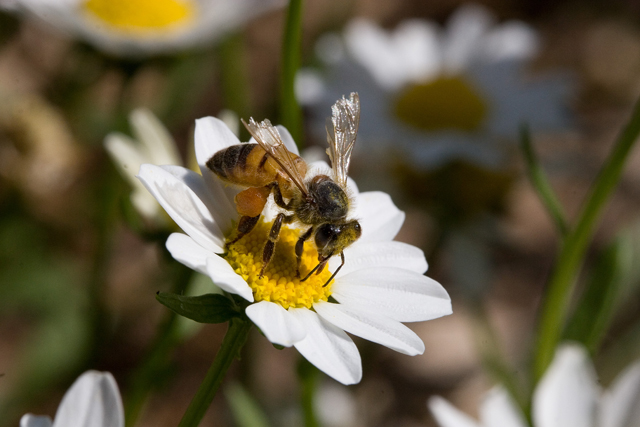 100mm only - 4.jpg