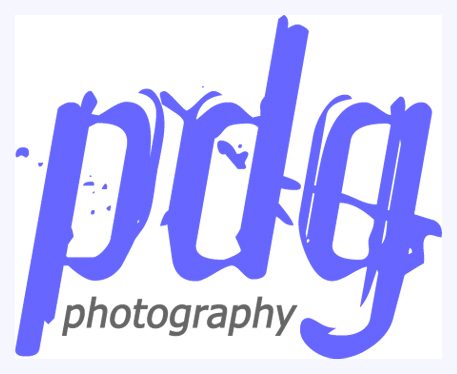 pdg-logo-1.jpg
