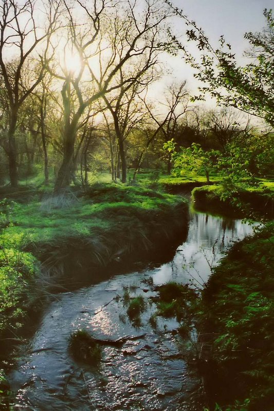 creek_filtered.jpg
