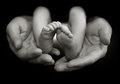 Loving Hands