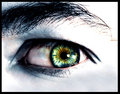 eye_small.jpg