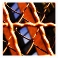 fence