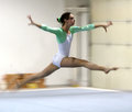 The Gymnast