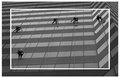 Spider Men