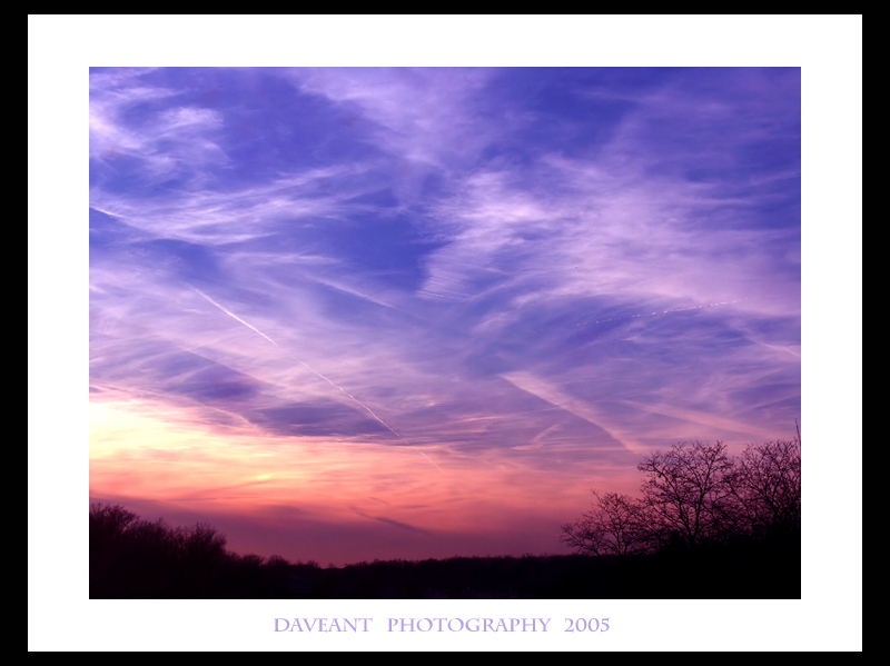 Lavender Sky