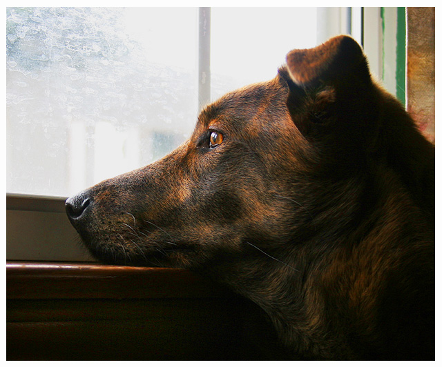 Waiting for Daddy