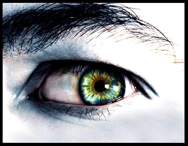 eye_small.jpg