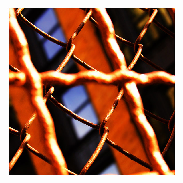 fence