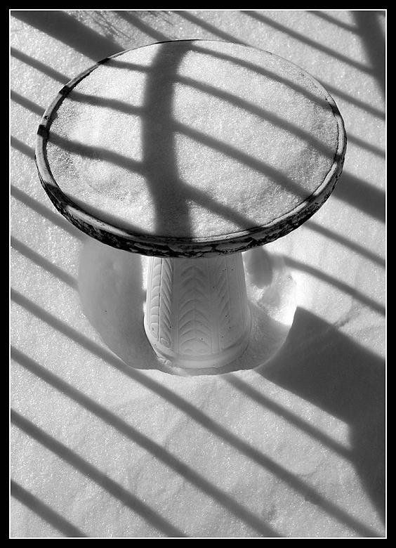 winter shadows
