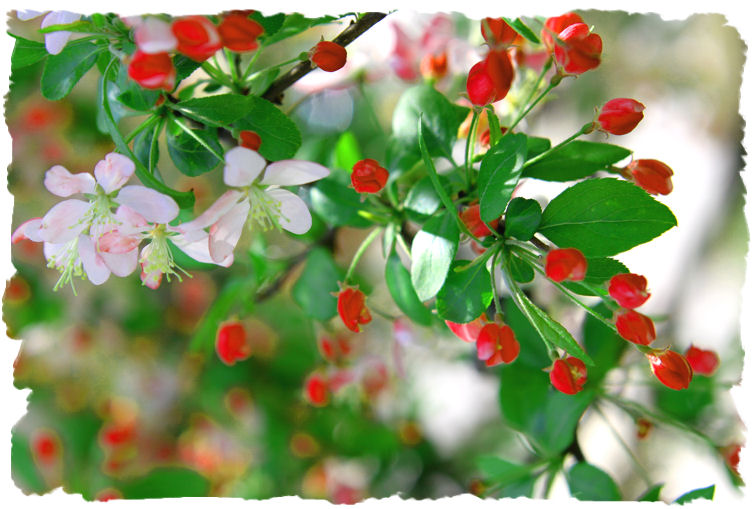 Spring is Here