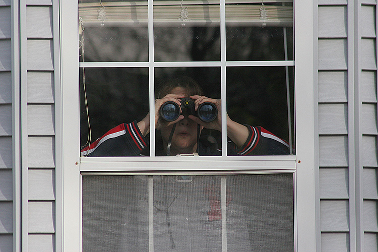 peeping tom