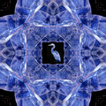 heron.jpg