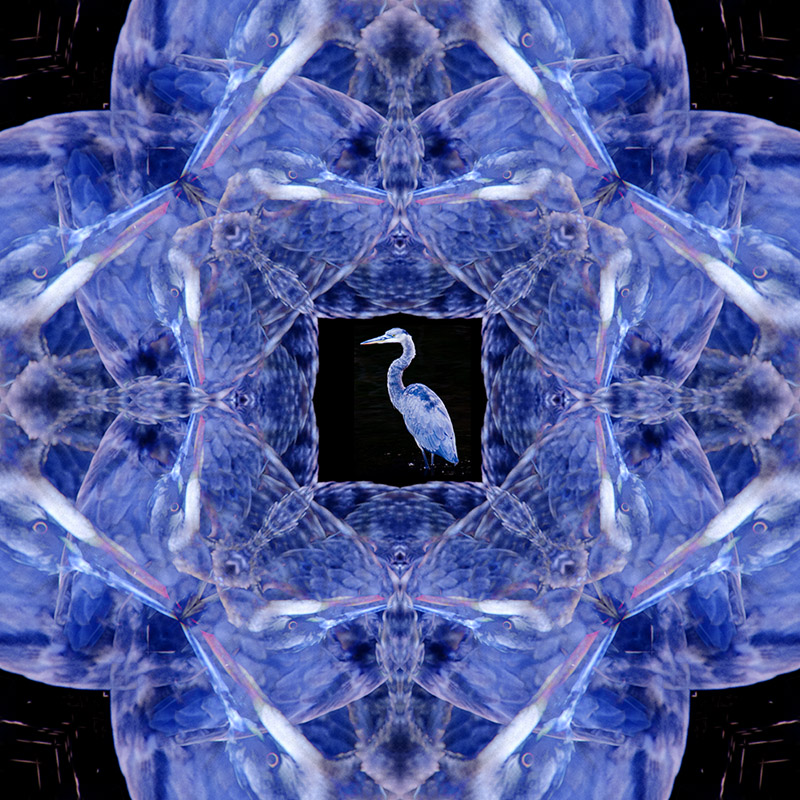 heron.jpg