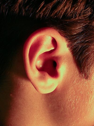 ear original.jpg