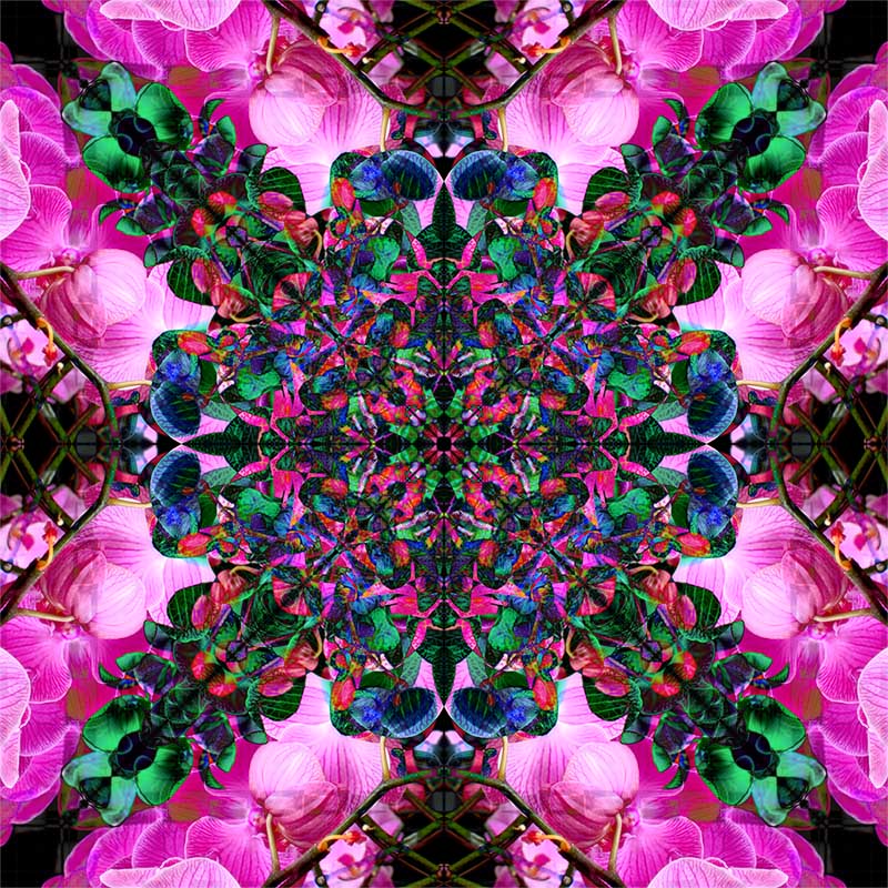flowers.jpg
