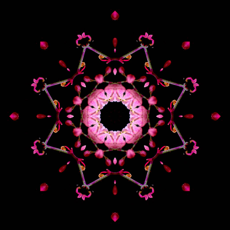flowers2.jpg