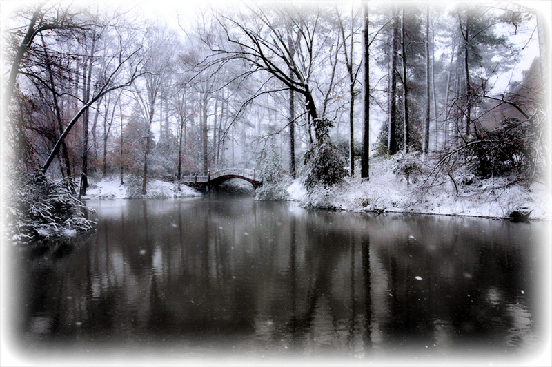 Park Lake and bridge.jpg