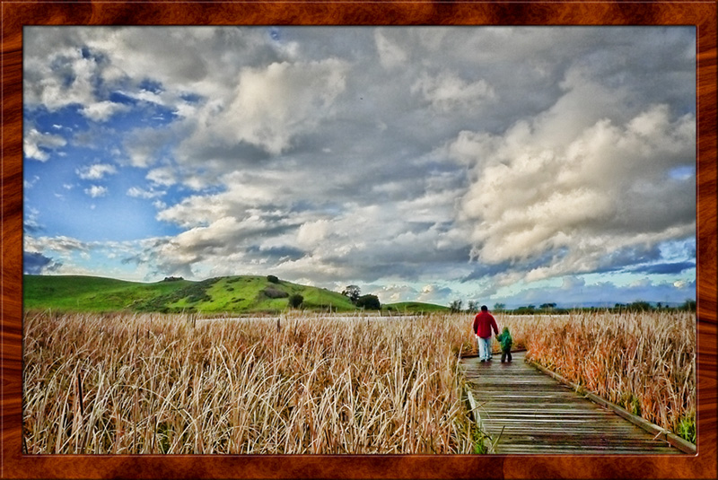 walking through grass.jpg