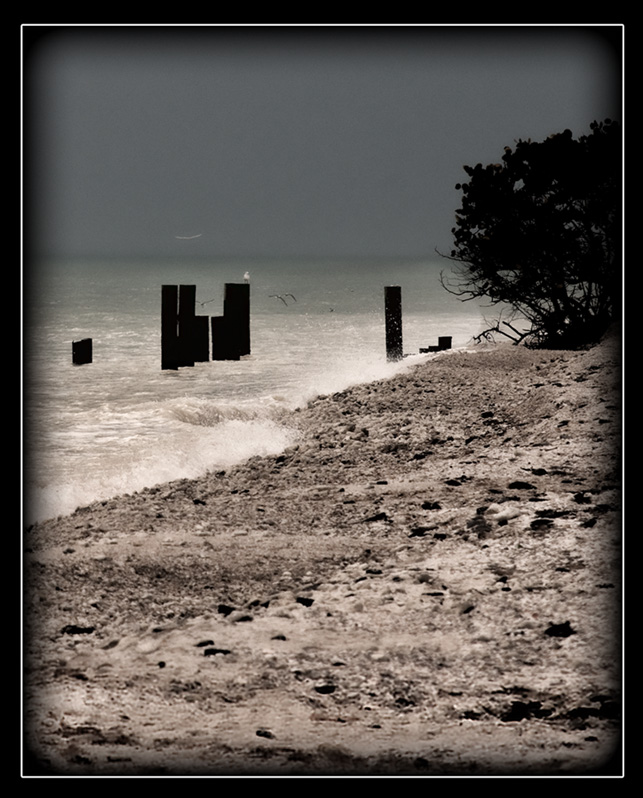 Beach.jpg