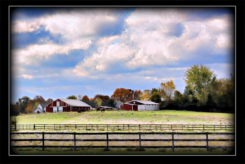 Kelli Farm Scene.jpg