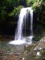 Grotto Falls.jpg