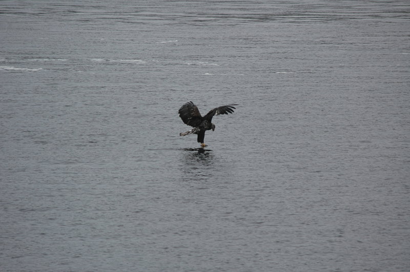 goin' fishing