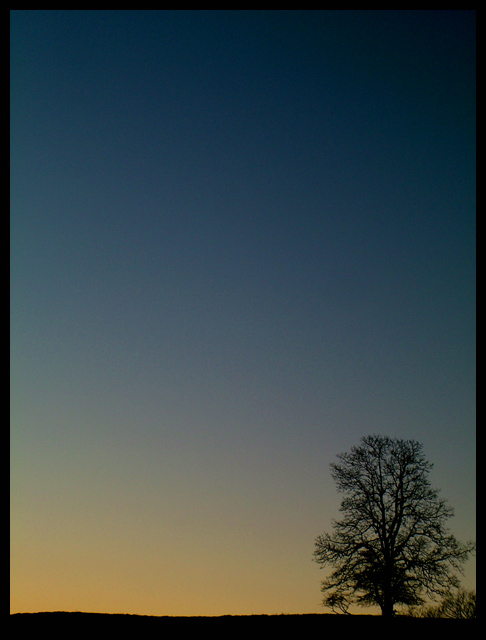 Negative Space