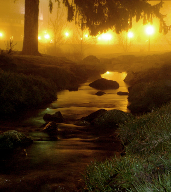 DSCF7585.jpg