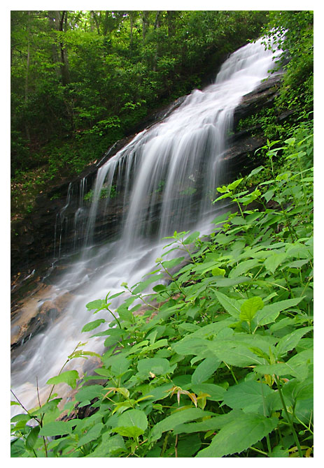 Cascades 1