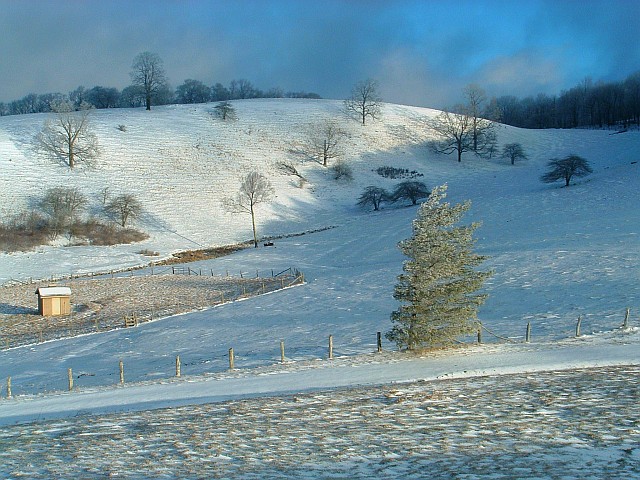 Moses Cone Park