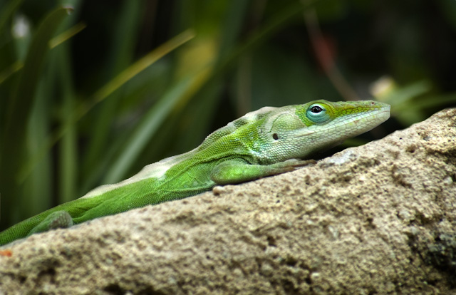 DSC_0119_web.jpg