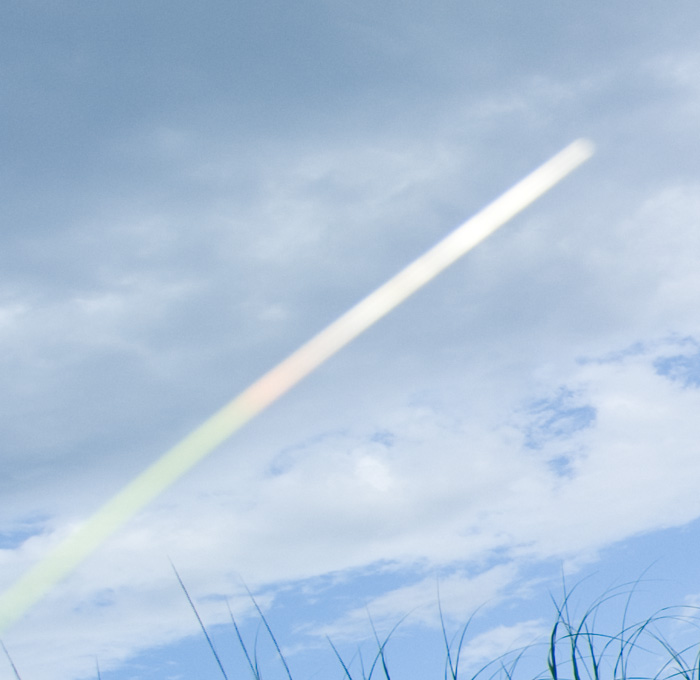 anomaly_crop.jpg