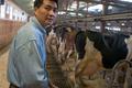 Asian farmer