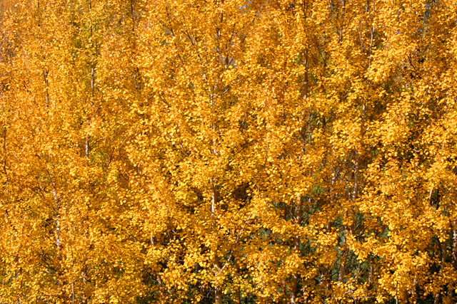 H008.jpg
