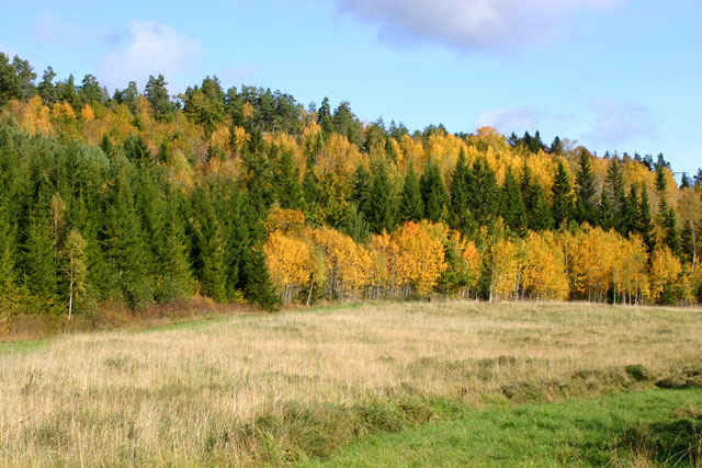 H0012.jpg
