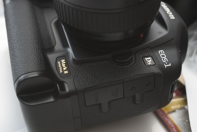 CRW_4615.jpg